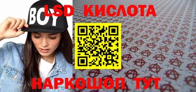 альфа пвп Новодвинск