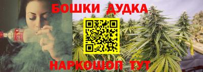 стафф Новозыбков
