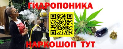альфа пвп Новодвинск