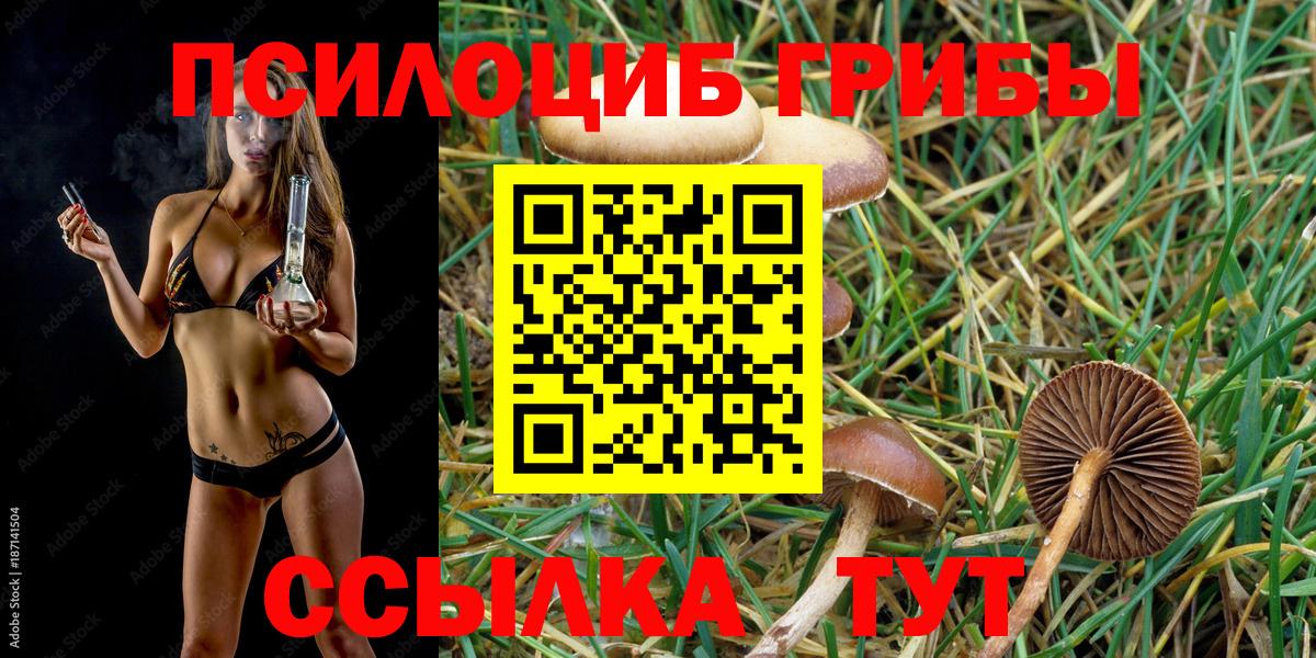 Рыбинск  Псилоцибиновые грибы MAGIC MUSHROOMS  купить   Галлюциногенные грибы Cubensis  Вход с VPN 